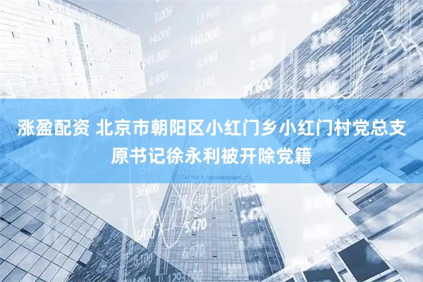 涨盈配资 北京市朝阳区小红门乡小红门村党总支原书记徐永利被开除党籍