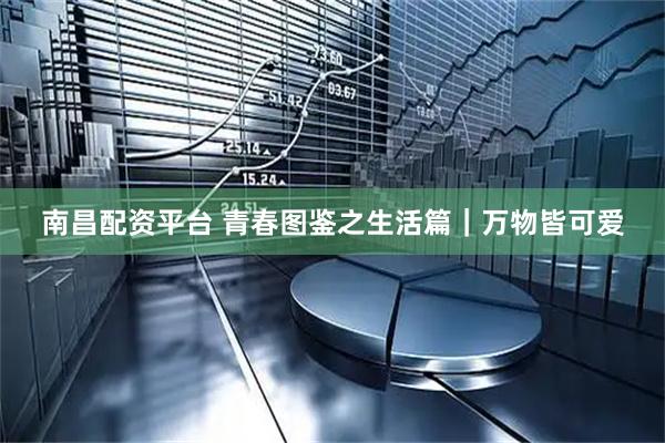 南昌配资平台 青春图鉴之生活篇｜万物皆可爱