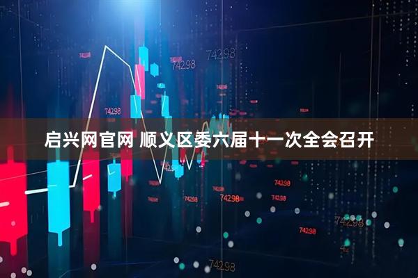 启兴网官网 顺义区委六届十一次全会召开