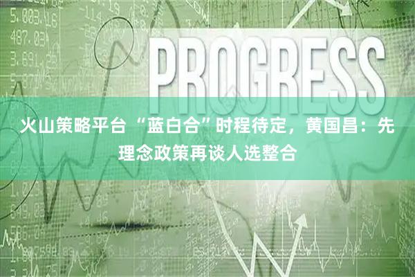 火山策略平台 “蓝白合”时程待定，黄国昌：先理念政策再谈人选整合
