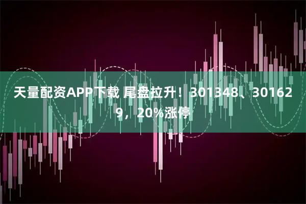 天量配资APP下载 尾盘拉升！301348、301629，20%涨停